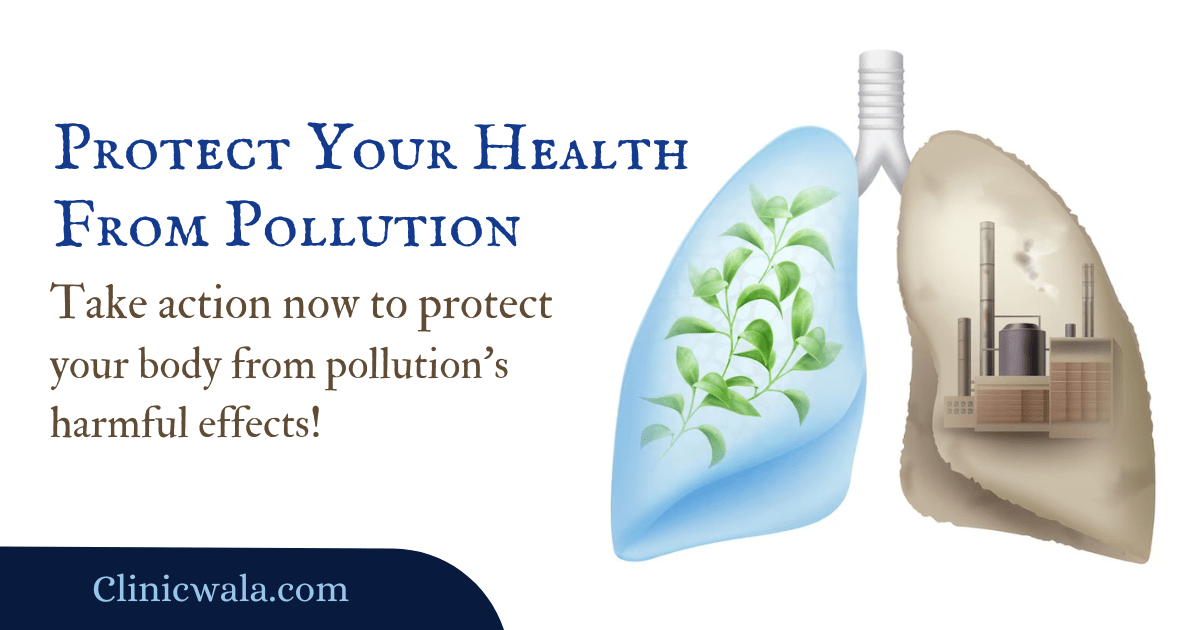 How to Protect Your Body from Pollution's Harmful Effects
