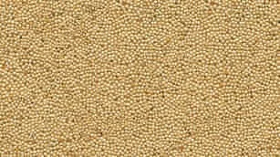 Amaranth seed, pale brown