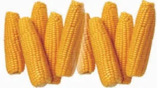 Maize, tender, local