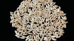 Rice, raw, brown