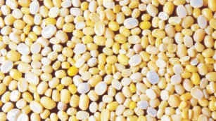 Green gram, dal