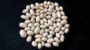 Soya bean, white