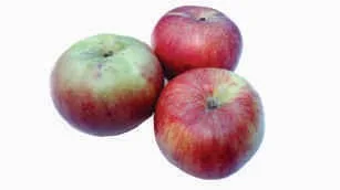 Apple, small, Kashmir