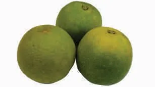 Lime, sweet, pulp