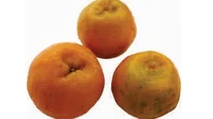 Orange, pulp