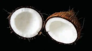 Coconut, kernel, fresh