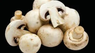 Button mushroom, fresh