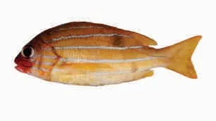 Chembali